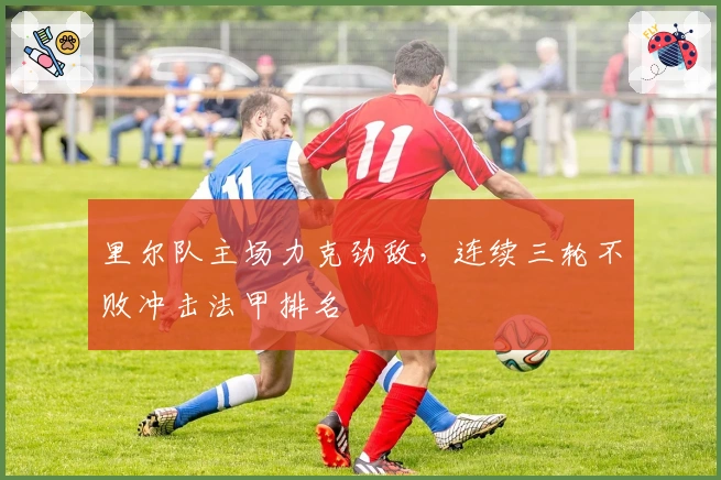 里尔队主场力克劲敌，连续三轮不败冲击法甲排名